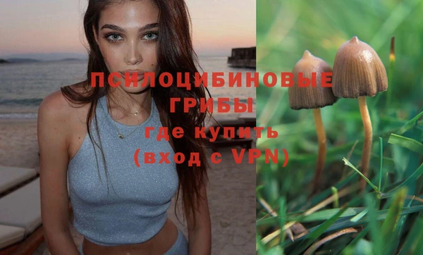 мяу мяу кристалл Медногорск