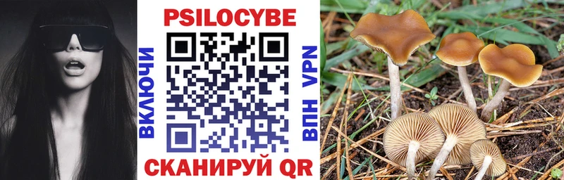 Псилоцибиновые грибы Psilocybine cubensis даркнет сайт Печоры